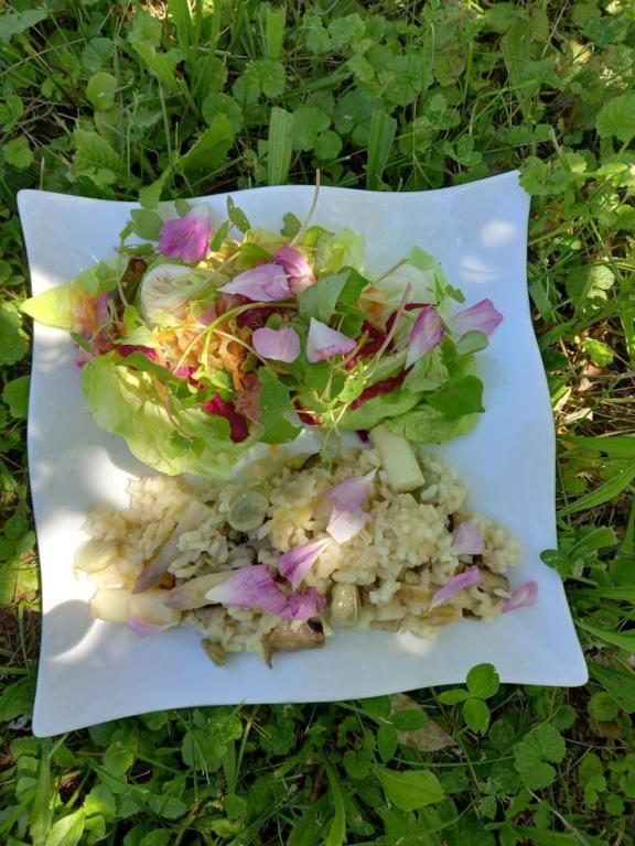 Bed and Breakfast Les Gourmandises Bio Recologne  Exteriér fotografie